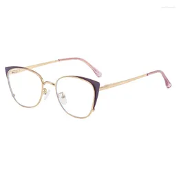 Sunglasses Frames Cat Eye Anti-blue Light Glasses Fashion Metal Spring Leg Eyeglass Frame Women Men Optical Computer Wholesale