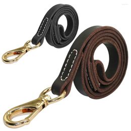 Dog Collars Genuine Leather Leash Large Dogs Pet Walking Training Leads 110cm Length Width 1.6 / 2.0cm Black Brown Colours