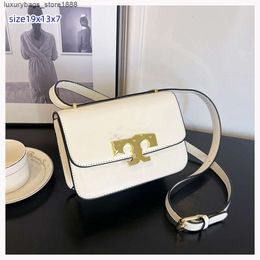 Light Luxury Texture Women's Bag 2024 New Fashion Trend High-end Small Gold Chain Single Shoulder Crossbody Bag ES13