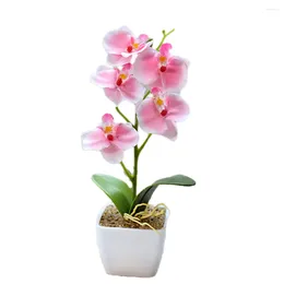 Decorative Flowers Artificial Flower Potted Plant Phalaenopsis Small Bonsai Landscaping Plastic Simulated