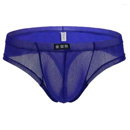 Underpants Men Sexy Mesh Low Rise Underwear See Trough Elastic Breathable Briefs Ultra-thin Bikini Thongs Man