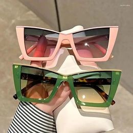 Sunglasses Cat Eye Fashion For Women Men Casual Anti Glare Sun Shades Party Beach Travel