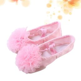 Casual Shoes Pocket Dance Ladies Slippers Ballet Dancing Womens Three-dimensional