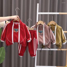Clothing Sets Boys Spring Autumn 2024 Children Cotton Jackets Pants 2pcs Tracksuits For Baby Sports Suit Kids Outfits Toddler 5Y