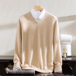 Men's Sweaters High-end Cashmere Sweater Fine Imitation Knitted V-neck Top Travel Friend Wind Jacket 2024 Model