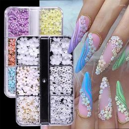 Nail Art Decorations Selling 6 Grids Macaron 3D Resin Five-petal Flowers Deaoration Mixed Small Ball/Crystal/Flamer Accessories