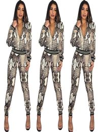Designer Women Clothes 2 piece pants Snakeskin Print leopard jackets pencil leggings pants two pieces outfits fashion slim tracksu6681142