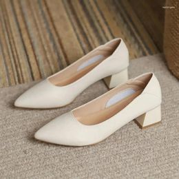 Dress Shoes 2024 Women 3cm High Heels Classic Commuting Pumps Female Pointed Toe Shallow Block Lady Concise El Work