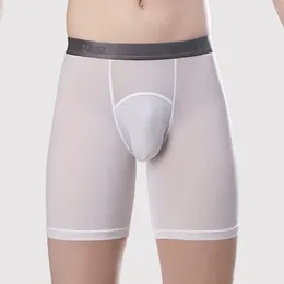 Underpants Men's Sexy Nylon Long Boxers Shorts Pouch Underwear Man U Convex Boxer Soft Slip Panties Sport Sculpting Boxershorts