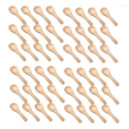Spoons 120 Pieces Small Wooden Mini Nature Tasting Condiments Salt For Kitchen Cooking