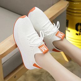 Fitness Shoes 2024 Spring Coconut Female Trainers Korean Wild Students Simple Weaver Women Sneakers