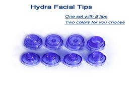 Hydra Dermabrasion Tips Accessories with two Colours peeling head derma brasion machine parts 6 or 8 tips one Bag1448591