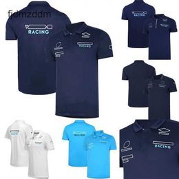 F1 Racing T-shirt 2022-2023 Formula 1 Official Team Training Jersey Polo Shirts Summer Fans Breathable Mens T-shirts Custom