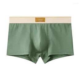 Underpants Mens Fashion Cotton U Convex Pouch Underwear Knickers Summer Breathable Panties Slip Homme Home Shorts