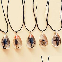 Pendant Necklaces Gothic Vintage Necklace Scorpion Spider Ant Charm Resin Fashion Real Insect Specimen Jewellery Gift Rope Chain Choke Dhqkg
