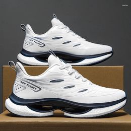 Casual Shoes Brand Professional Running For Men Lightweight Breathable Mesh Soft Sneakers Women Outdoor Sports Tennis Walking