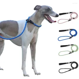 Dog Collars Leash Slip Snap Hook Rope No Pull Training Lead Reflective Leashes For Medium Dogs Strong Heavy Duty Braided