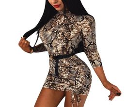 Casual Dresses Women Sexy Bodycon Long Sleeve Evening Party Dress Turtleneck Snake Skin Printed Sheath Club Short Mini9208402