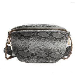 Bag 2024 Casual Snake Pattern Women Bags Luxury Designer Shoulder Pu Cloth Lady Messenger Mobile Phone Wholesale Bolsas