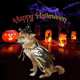 Dog Apparel Light Non-restrictive Pet Costume Stylish Witch Cape Hat Set For Halloween Party Decoration Festive Cats Dogs