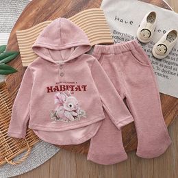 Clothing Sets Girls Spring Autumn 2024 Children Cotton Coats Hoodies Pants 2pcs Tracksuits For Baby Cute Suit Kids Outfits 4 5Y