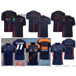New F1 Racing Polo Suit Summer Team Lapel Shirt Same Style Customization