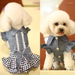 Dog Apparel Skirt Spring Cute Small Fresh Thin Breathable Princess Dress For Bichon Yorkshire Summer Pet Clothes