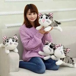 Stuffed Plush Animals 20/30cm Cat Plush Toy Chi Chis Cat Filling Doll Soft Animal Doll Cheese Cat Filling Doll Pillow for Children and Girls Gift d240520