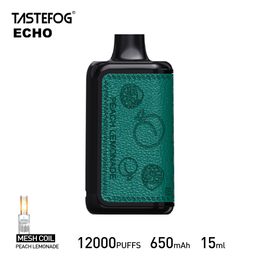 Newest Original Tastefog Echo Disposable Vape Pen 12000 Puff 2% 15ml 650mAh E-cigarette Puff 12000 2% 12 Flavors Vapes With Airflow Control And Display Screen Wholesale