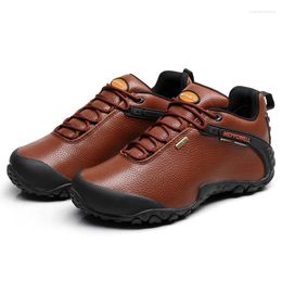 Fitness Shoes 2024 Wateproof Hiking Boots Professional Men Trekking Climbing Mountaineering Breathable Soft Leather Female Sneakers