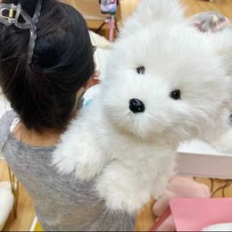 Stuffed Plush Animals 35cm Cute Samoye Dog Simulation Dog Plush Toy Kaii Real Life Plush Toys Home Decor Girl Birthday Girlfriend Gift Accessories