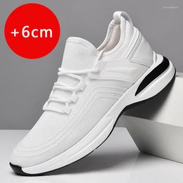 Casual Shoes Summer Male Comfortable Elevator Shoe Fashion Skate Men Lace-up Classic Mens Sneakers Soft Leather Men's