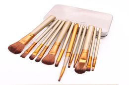 Makeup Tools Brushes Nude 12 piece Professional Brush sets Iron box DHL 8534588
