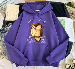 Cute Owl I039M Not Sleeping Im Just Resting My Eyes Tracksuits Male Warm Mens Hoodies Harajuku Sweatshirts Loose Pullover Male 3880457