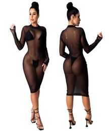 2020 Womens Sexy Mesh Fishnet Dress Cover Up Long Sleeve Mini Dress Black Female Mesh Transparent Night Club Wear Holiday Dress Ve6613853