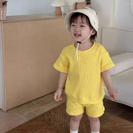 Clothing Sets 2024 Children's Cotton Summer Clothes 0-3 Years Old Korean Baby Solid Colour Japanese 2-piece Kids Boy & Girls