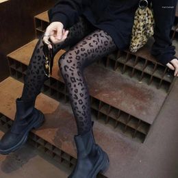 Women Socks 2024 Leopard Print Stockings Sexy Retro Jacquard Pantyhose Slimming Women's Leg-Shaping Thin Spring And Summe