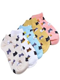 3 Pairs lot Women039s Socks Summer Cartoon Cute Cat Face Girls Ankle Socks Female Breathable Gentle Color Ladies Funny Sock Mei2163794