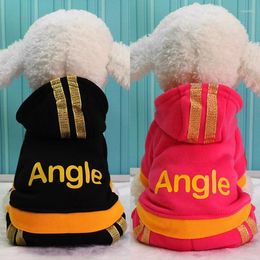 Dog Apparel Cute Angle Winter Hoodies Clothes Pets Clothing For Dogs Small And Large Warm Coat