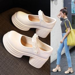 Dress Shoes Shallow Mouth High Heel Single Women 2024 Spring And Summer Thick Root Loafers