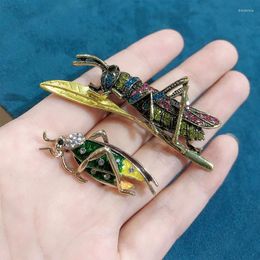 Brooches Morkopela Locust Insect Brooch Large Grasshoppers Pins And Rhinestone Bouquet Clothes Scarf Clip Accessories