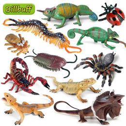 Novelty Games Simulation Reptile Animal Lizard Scorpion Centipede Spider Model Figures Collection Cognition Educational Toys for Children Gift Y240521
