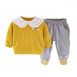 Clothing Sets Spring Autumn Baby Clothes Suit Children Girls T-Shirt Pants 2Pcs/Sets Toddler Casual Costume Kids Sportswear Infant Outfits