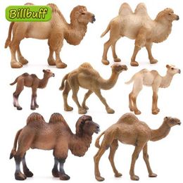 Novelty Games NEW Simulation Animal Zoo Camel Model Dromedary Bactrian Camel Action Figures Early Educational toy for childrens Christmas gift Y240521