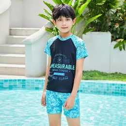 Women's Swimwear Boys' Swimware Two-piece Swimsuits Half Sleeved Shorts High Quality Surfwear School Boys Wholesale And Retail