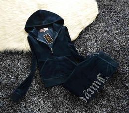 SpringFall 2021 Women039s Brand Velvet Fabric Tracksuits Velour Women Track Suit Hoodies And Pants fat sister sportswear7474355