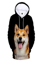 Shiba Inu 3D Print Hoodies MenWomen Fashion Long Sleeve Hooded Sweatshirt Funny Akita Dog Streetshirt Clothes 2020 Casual Tops5855160