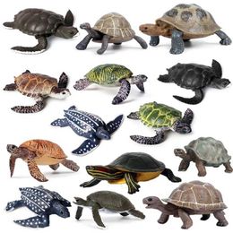 Novelty Games Simulation Realistic Marine Life Animal Model Sea Turtle Tortoise Action Figure Educational Collection Toy Gifts for Children Y240521