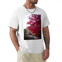 Men's Polos Fall Trees T-Shirt Cute Clothes Vintage Blouse Anime Mens Graphic T-shirts