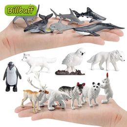 Novelty Games NEW Simulation Arctic Wild Animal Model Mini Trumpet Beluga Seal Husky Shark Penguin Figures Early Educational toy for children Y240521